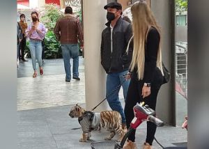 Foto de la noticia