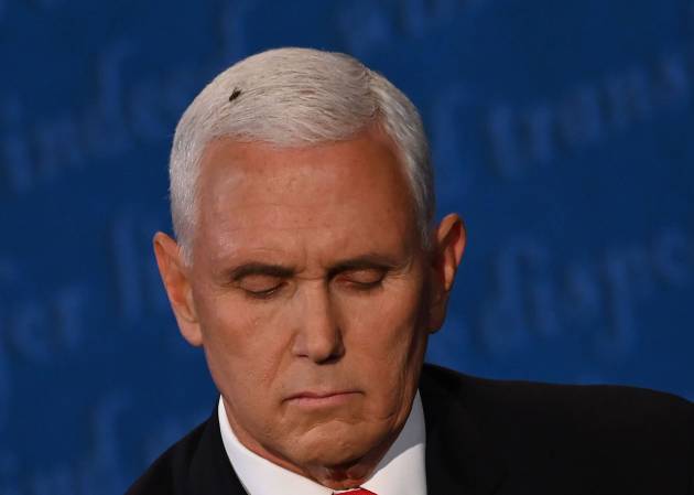 Una mosca descansa sobre la cabeza del vicepresidente Mike Pence durante el debate de este miércoles