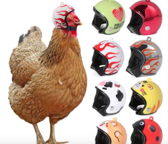 Cascos para pollos y otras cosas extrañas que puedes comprar en línea en El  Buen Fin | Verne México EL PAÍS