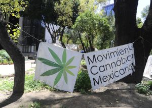 Foto de la noticia